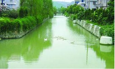 農(nóng)村建了“吃”污水“吐”清水的污水處理站，生活污水不再“無家可歸”